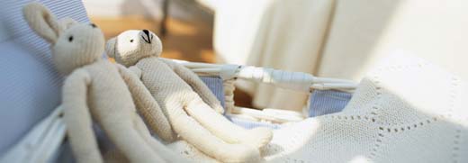 �Ê�E�В��v���[���g�C���[�W